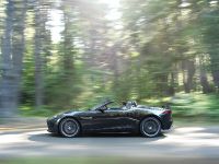 Jaguar F-Type (2013) - picture 18 of 30