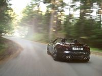 Jaguar F-Type (2013) - picture 19 of 30