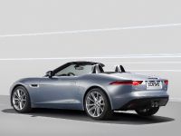 Jaguar F-Type (2013) - picture 21 of 30