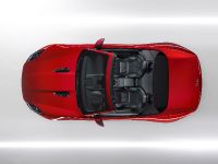 Jaguar F-Type (2013) - picture 26 of 30