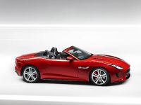 Jaguar F-Type (2013) - picture 27 of 30
