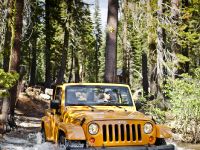 Jeep Wrangler Rubicion 10th Anniversary Edition (2013) - picture 1 of 27