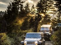 Jeep Wrangler Rubicion 10th Anniversary Edition (2013) - picture 8 of 27