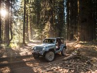 Jeep Wrangler Rubicion 10th Anniversary Edition (2013) - picture 14 of 27