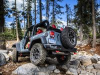 Jeep Wrangler Rubicion 10th Anniversary Edition (2013)