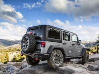 Jeep Wrangler Rubicion 10th Anniversary Edition (2013) - picture 21 of 27
