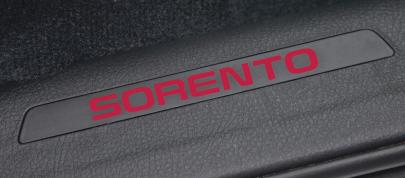 Kia Sorento (2013) - picture 44 of 45