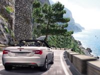 Lancia Flavia Convertible (2013)