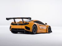 McLaren 12C GT3 (2013) - picture 6 of 7