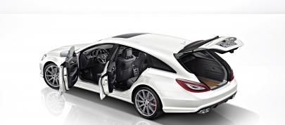 Mercedes-Benz CLS 63 AMG (2013) - picture 12 of 16