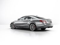 Mercedes-Benz CLS 63 AMG (2013) - picture 2 of 16