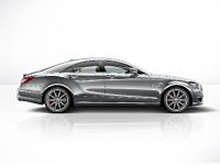 Mercedes-Benz CLS 63 AMG (2013) - picture 4 of 16