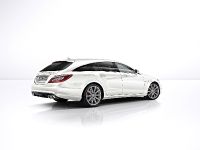 Mercedes-Benz CLS 63 AMG (2013) - picture 11 of 16