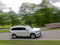 Mercedes-Benz GL 63 AMG (2013) - picture 8 of 24