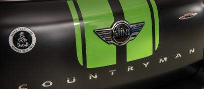 MINI John Cooper Works Countryman ALL4 Dakar (2013) - picture 12 of 22