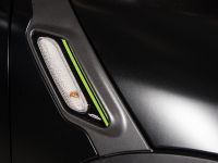 MINI John Cooper Works Countryman ALL4 Dakar (2013)