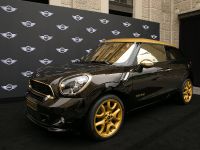 MINI Paceman by Roberto Cavalli (2013) - picture 2 of 16