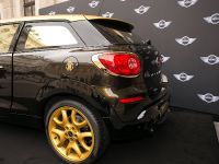 MINI Paceman by Roberto Cavalli (2013) - picture 7 of 16
