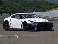 Nissan GT-R Nismo GT3 Prototype (2013) - picture 1 of 4