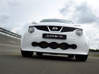 Nissan Juke-R (2013) - picture 1 of 13