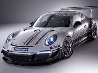 Porsche 911 GT3 Cup Race Car (2013) - picture 2 of 7