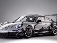 Porsche 911 GT3 Cup Race Car (2013) - picture 3 of 7