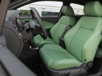 Romeo Ferraris Volkswagen Polo GTI (2013) - picture 2 of 11