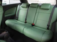 Romeo Ferraris Volkswagen Polo GTI (2013) - picture 3 of 11