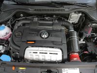 Romeo Ferraris Volkswagen Polo GTI (2013) - picture 11 of 11