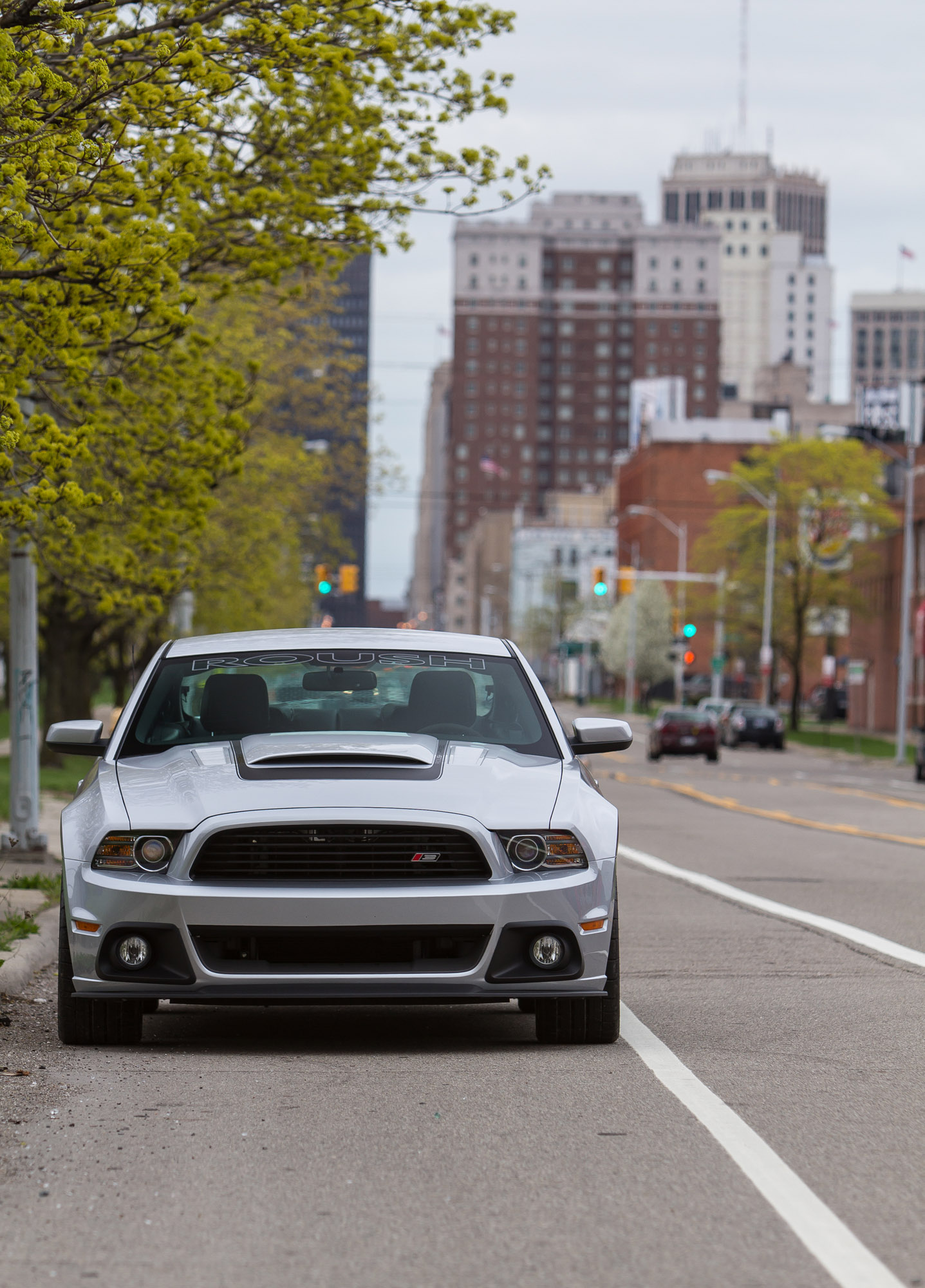Ford Mustang Roush 2013