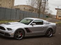 ROUSH Ford Mustang (2013) - picture 21 of 49