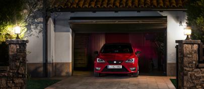 Seat Ibiza Cupra (2013) - picture 12 of 55