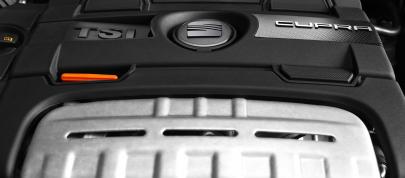 Seat Ibiza Cupra (2013) - picture 55 of 55