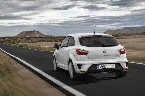 Seat Ibiza Cupra (2013) - picture 41 of 55