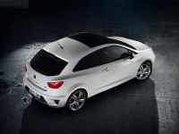 Seat Ibiza Cupra (2013) - picture 2 of 55