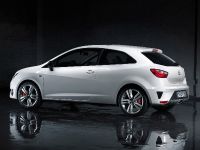 Seat Ibiza Cupra (2013) - picture 3 of 55