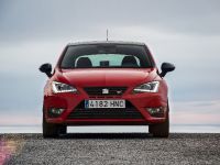 Seat Ibiza Cupra (2013) - picture 10 of 55