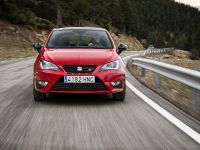 Seat Ibiza Cupra (2013)