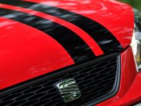 Seat Mii Vibora Negra (2013)