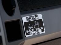 Shelby Raptor (2013)