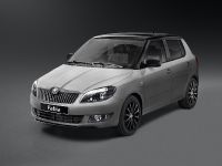 Skoda Fabia Reaction and Monte Carlo TECH Estate (2013) - picture 2 of 2