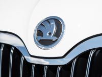 Skoda Superb (2013) - picture 50 of 50