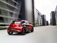 Smart Forstars (2013) - picture 10 of 19