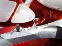 Smart Forstars (2013) - picture 18 of 19