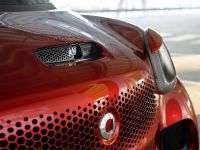 Smart Forstars (2013) - picture 19 of 19