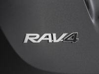 Toyota RAV4 (2013) - picture 18 of 30