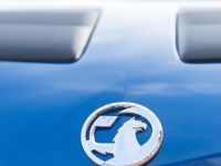 Vauxhall VXR8 Tourer (2013)