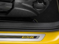 Volkswagen Beetle GSR Limited Edition (2013) - picture 11 of 11