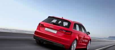 Audi A3 e-tron (2014) - picture 4 of 4