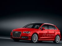 Audi A3 e-tron (2014) - picture 1 of 4